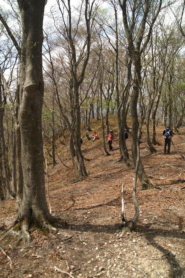 d0037282_16225292.jpg