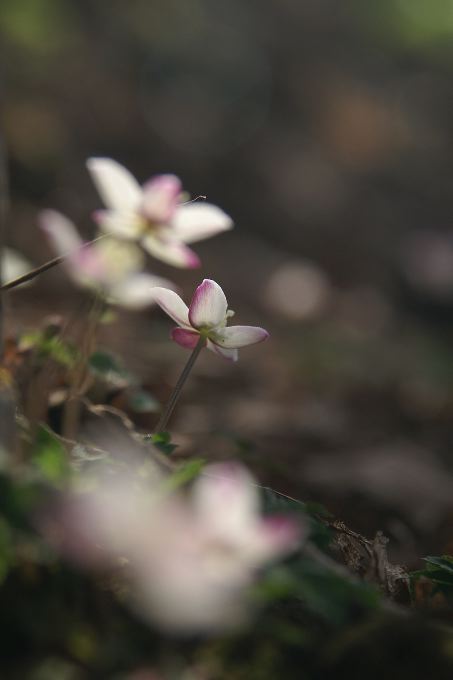 d0037282_16354093.jpg