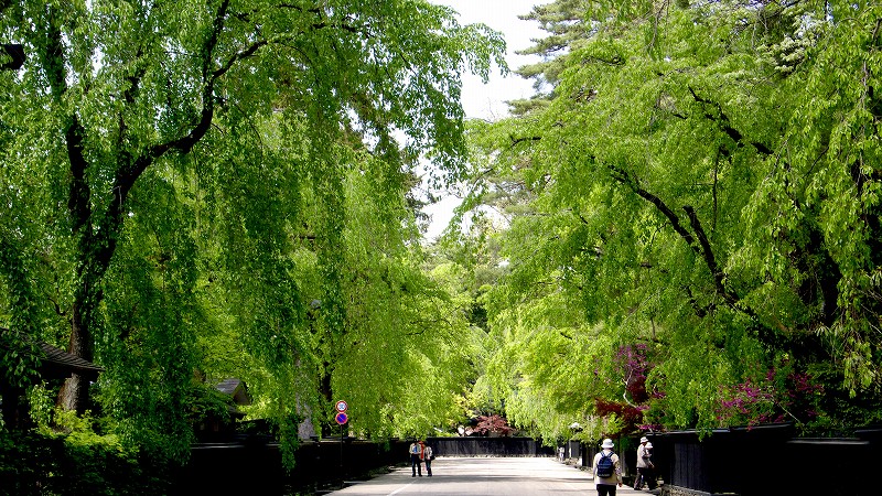 e0009783_2333342.jpg