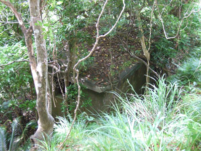 e0028387_1544447.jpg