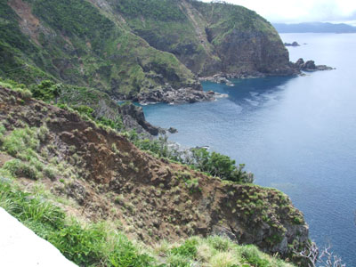 e0028387_1551991.jpg