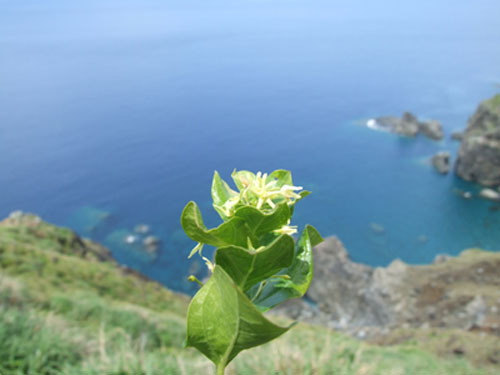 e0028387_15533322.jpg