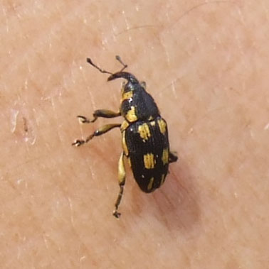 e0028387_1652675.jpg
