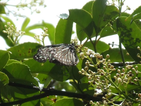 e0028387_19201517.jpg