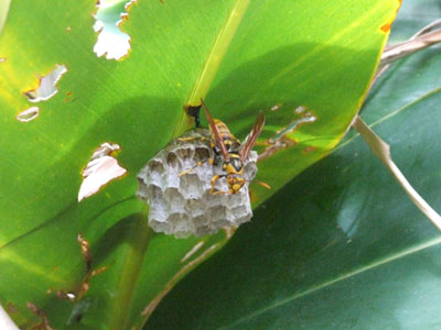 e0028387_19212862.jpg