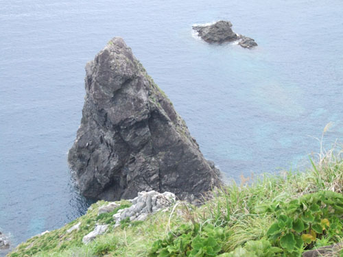 e0028387_1951218.jpg