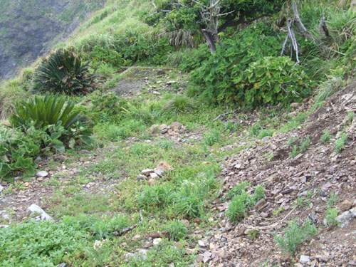 e0028387_198051.jpg