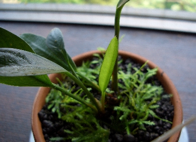 c0074591_113649.jpg