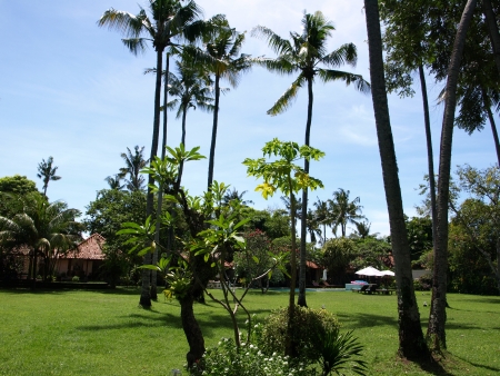 e0066495_20541551.jpg