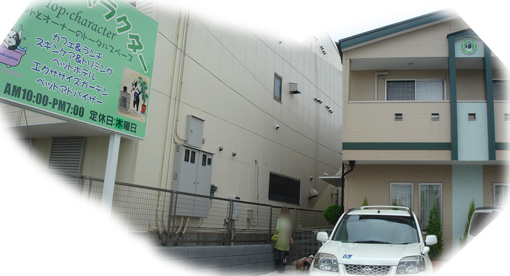 c0094999_341050.jpg
