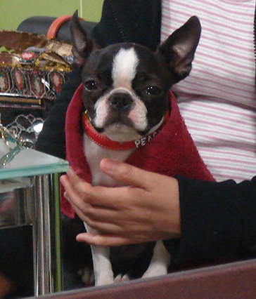 c0094999_3555125.jpg