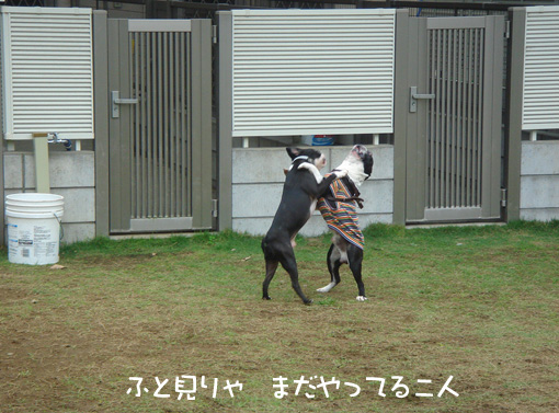 c0094999_534712.jpg
