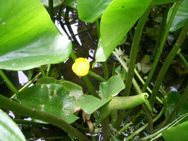 e0025300_16381181.jpg