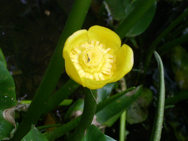 e0025300_1638384.jpg