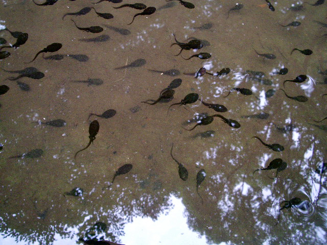 e0025300_16403715.jpg