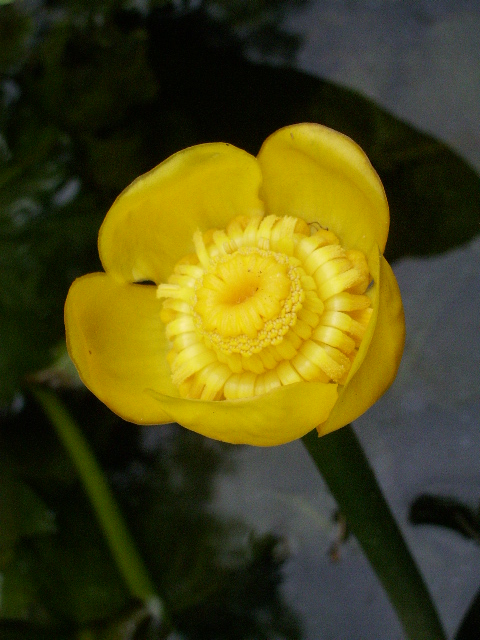 e0025300_16481943.jpg