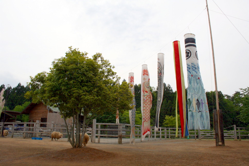 d0070702_22571641.jpg