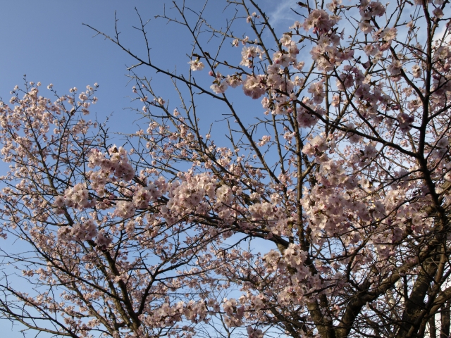 f0020302_21314442.jpg