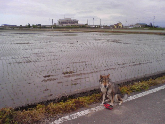 f0079202_1714132.jpg