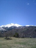 d0032405_1617794.jpg