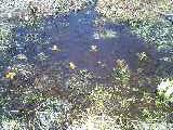 d0032405_16221552.jpg