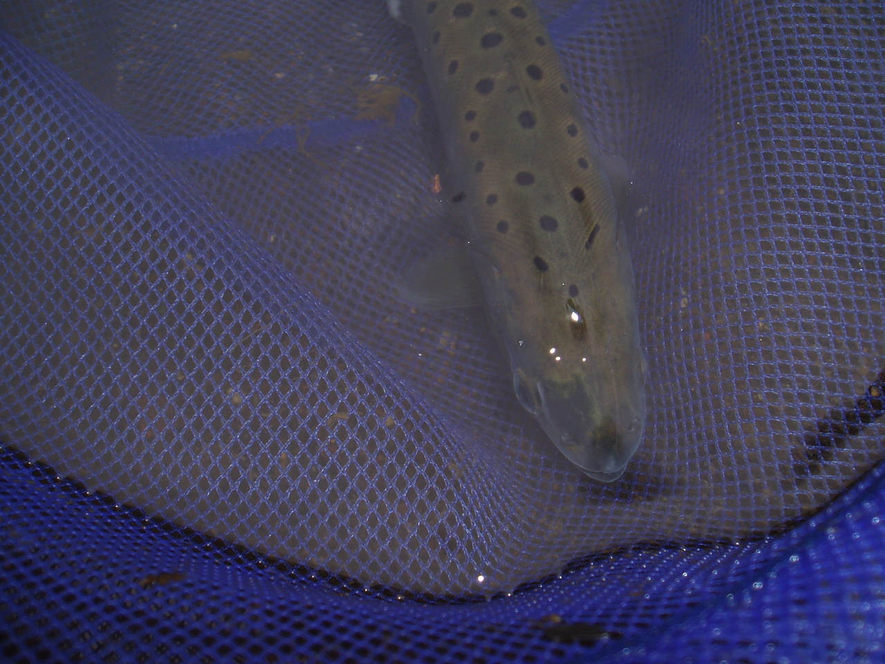 f0137709_134347.jpg