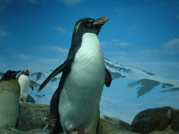 f0006510_19321517.jpg