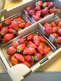f0152412_1821696.jpg
