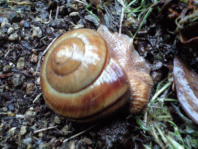 d0149615_8352136.jpg