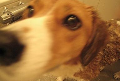 c0084117_14494264.jpg