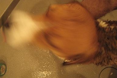 c0084117_14561545.jpg