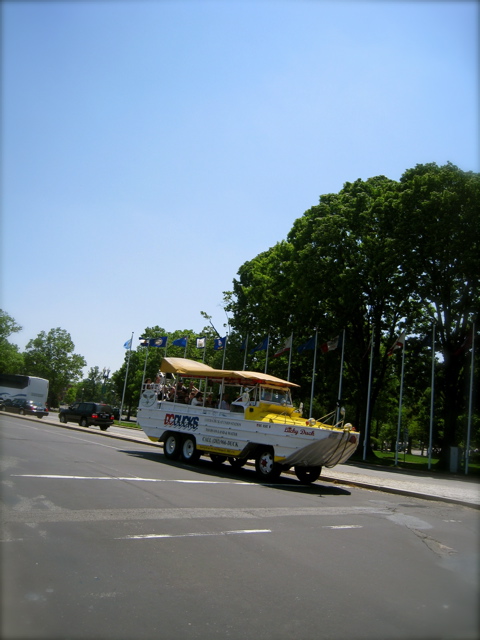 c0120817_14362217.jpg