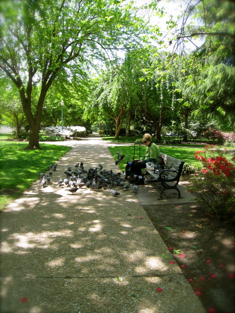 c0120817_14371359.jpg