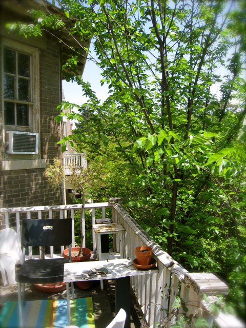 c0120817_1444955.jpg
