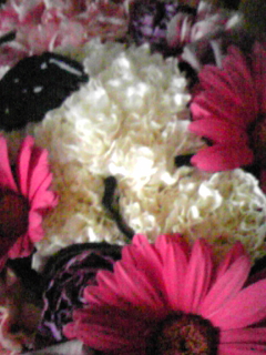 a0019322_15484379.jpg