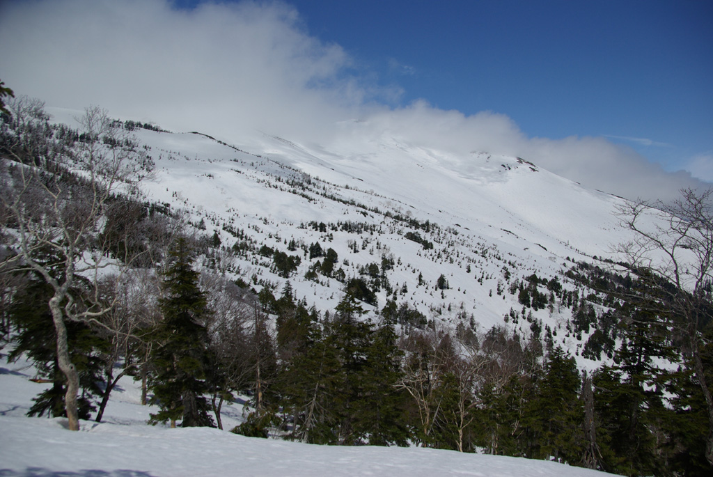 b0062024_19223432.jpg