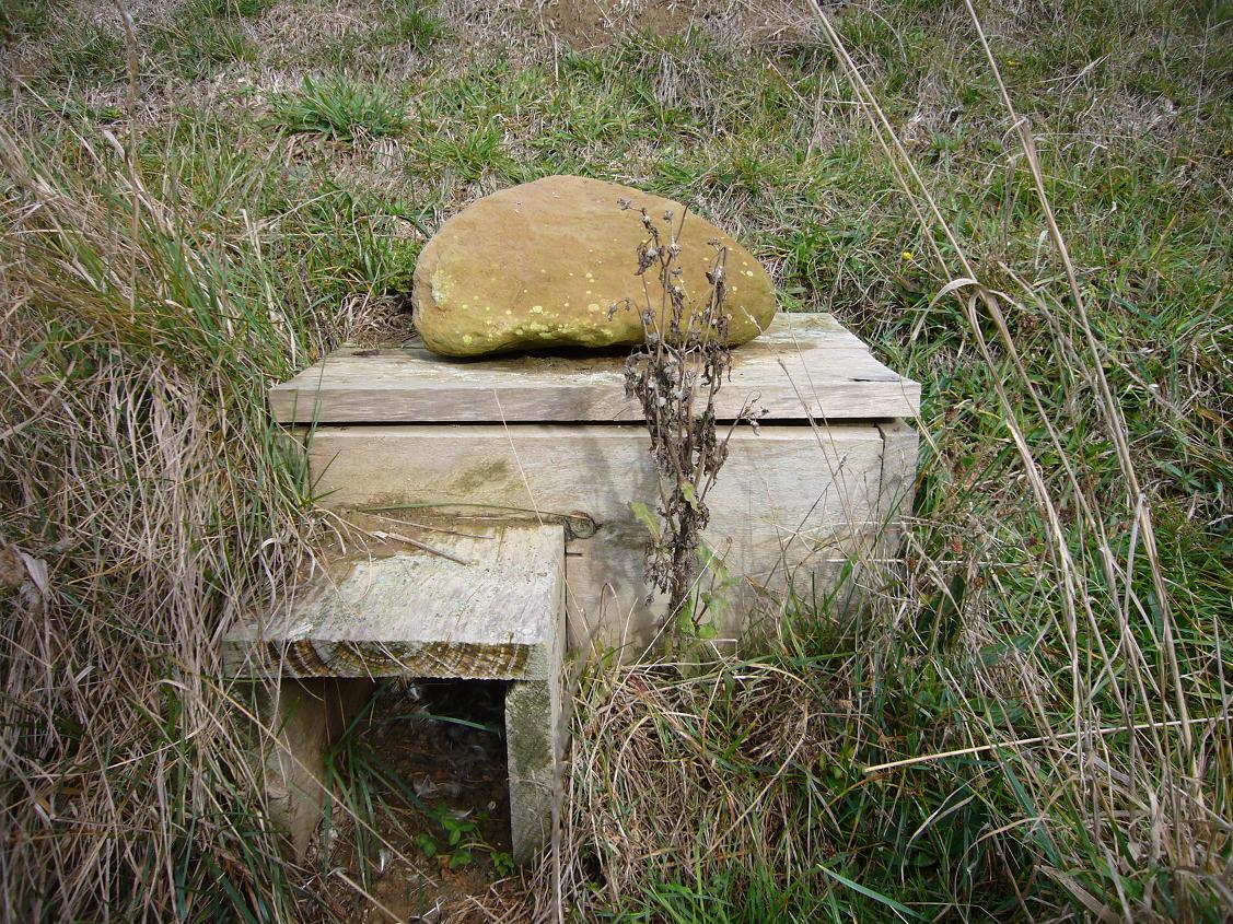 e0131924_14171519.jpg