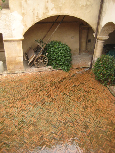 d0147727_8163122.jpg