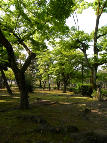 c0077129_1632638.jpg