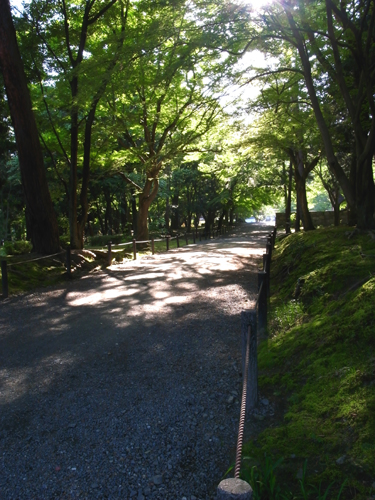 c0077129_1642739.jpg