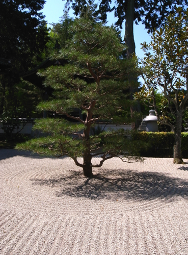 c0077129_1645054.jpg