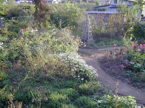 c0107129_2595951.jpg