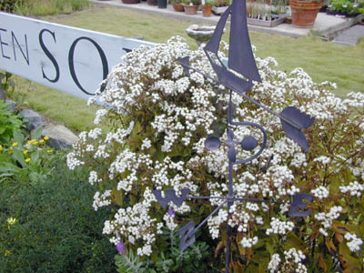 c0107129_324218.jpg