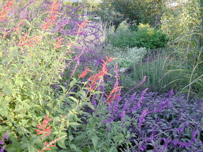 c0107129_352243.jpg