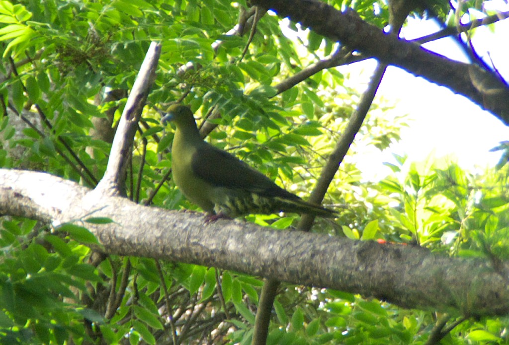 d0053930_722891.jpg