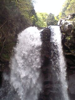 f0118332_23241654.jpg