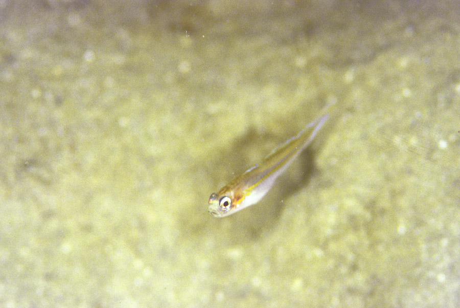 b0042837_15561546.jpg