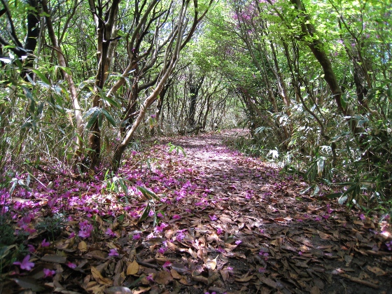 c0077338_21103939.jpg