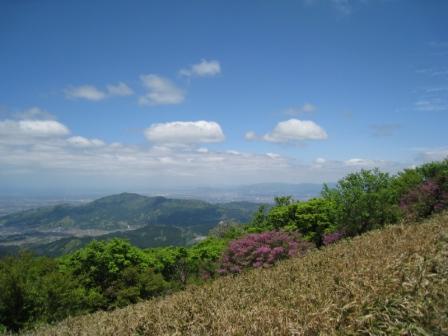 c0077338_21115718.jpg