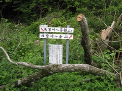 c0077338_2185927.jpg